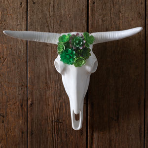 Longhorn Skull with Faux Succulents 20''W x 5½''D x 16''H